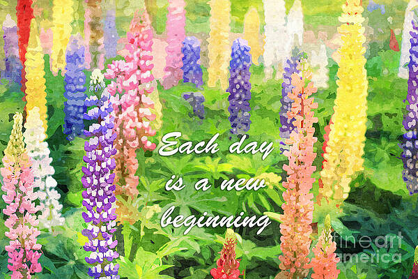 Wall Art - Digital Art - Each Day is a New Beginning Colorful Lupine Flowers by Beverly Claire Kaiya