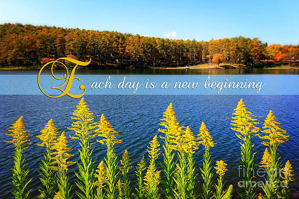 Wall Art - Photograph - Each Day is a New Beginning Lake with Goldenrod by Beverly Claire Kaiya