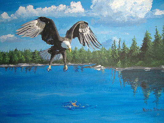 Eagle Attack by Norm Starks Eagle Attack by Norm Starks