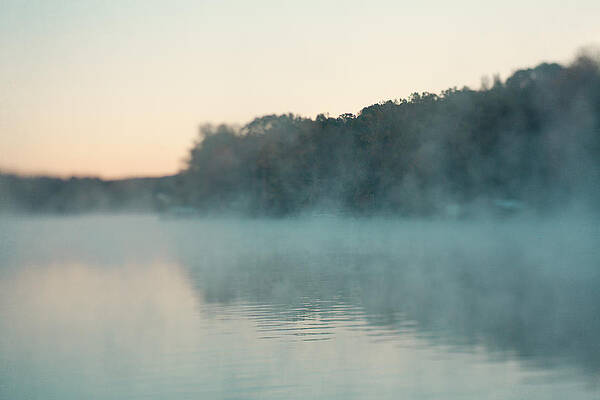 Wall Art - Photograph - Early Morning Fog by Kim Fearheiley