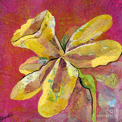 Early Spring II Daffodil Series by Shadia Derbyshire