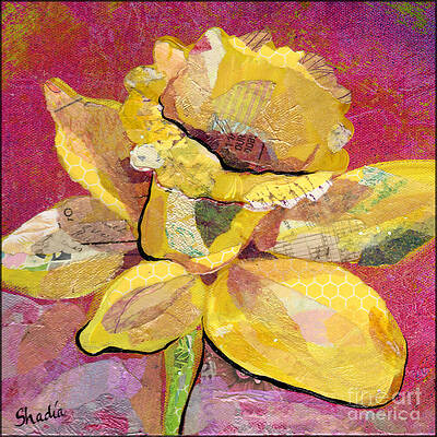  Painting - Early Spring III  Daffodil Series by Shadia Derbyshire
