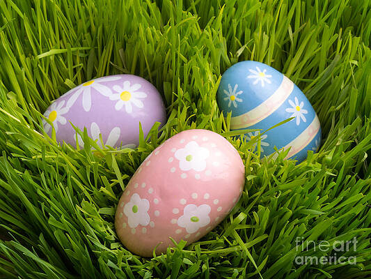 Wall Art - Photograph - Easter Eggs in the grass by Edward Fielding