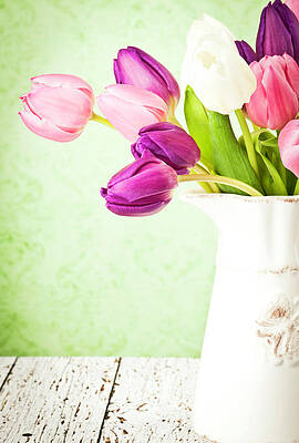 Wall Art - Photograph - Easter Tulips And Copy Space by Catlane