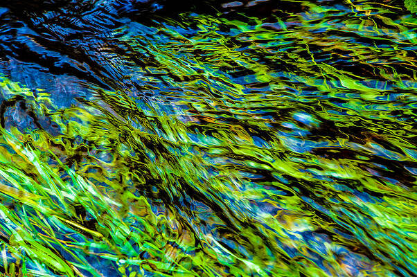 Ebb and Flow by Jeffrey Weinstein