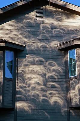 Wall Art - Photograph - Eclipse Shadows On A Wall by Science Photo Library