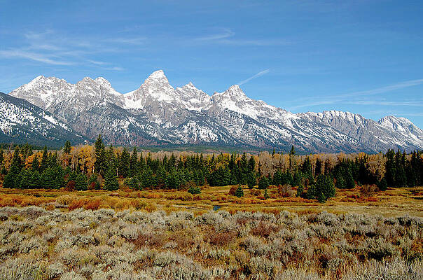 Wall Art - Photograph - Edge of Winter by Jeremy Rhoades