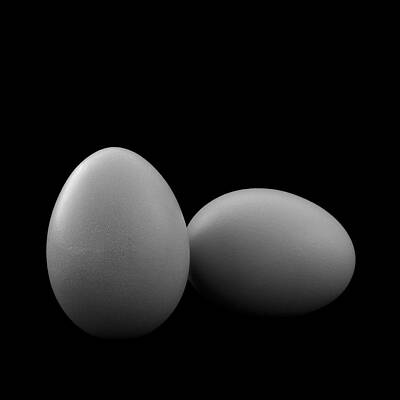 Egg Play in a Square by Mark McKinney Egg Play in a Square by Mark McKinney