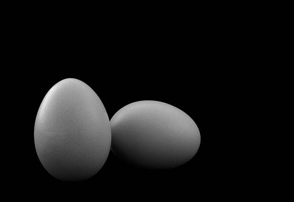 Egg Play by Mark McKinney Egg Play by Mark McKinney