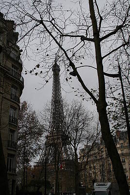 Eiffel in Winter by Sue Lorenz