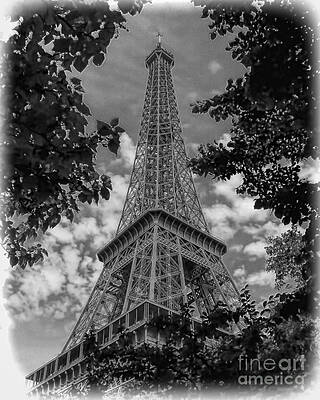 Wall Art - Photograph - Eiffel Through Trees BW by Ken Johnson