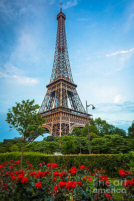 Wall Art - Photograph - Eiffel Tower and Red Roses by Inge Johnsson