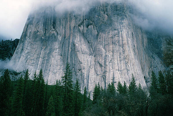 Wall Art - Photograph - El Captain In Clouds In Yosemite by Ron Koeberer