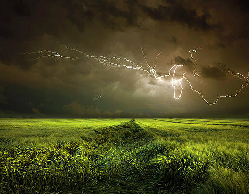 Wall Art - Photograph - Electrically In Summer by Franz Schumacher