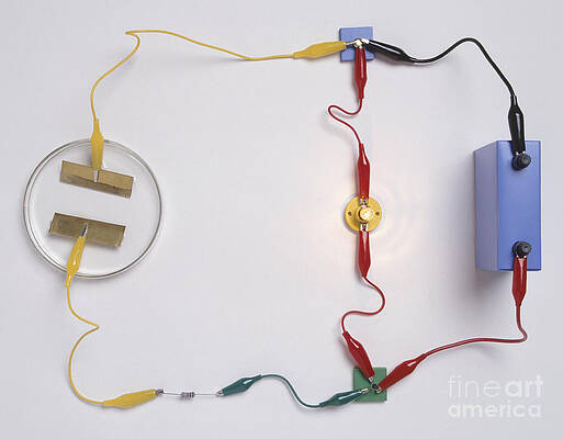 Wall Art - Photograph - Electronic Circuit Detecting Water by Dorling Kindersley