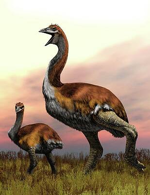Wall Art - Photograph - Elephant Birds by Science Photo Library