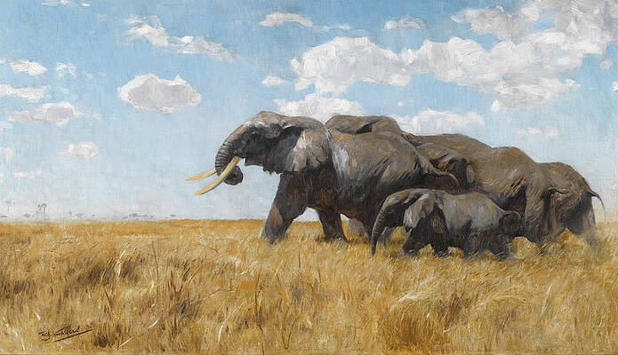 Elephants on the Move Print by Wilhelm Kuhnert