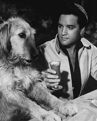 Wall Art - Photograph - Elvis Presley Has A Milkshake With Dog by Retro Images Archive