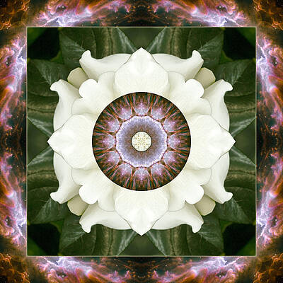 Emanation by Bell And Todd Emanation by Bell And Todd