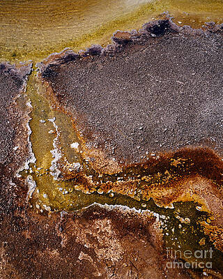 Wall Art - Photograph - Emerald Pool Algae by Tracy Knauer