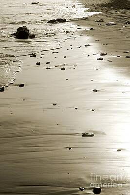 Empty beach sands by Muhammad Junaid Rashid