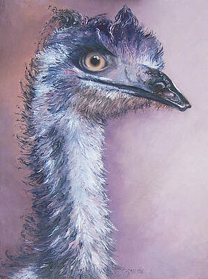 Wall Art - Painting - Portrait painting of an Emu  by Jan Matson