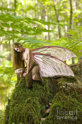 Enchanted fairy by Thomas Oliver Enchanted fairy by Thomas Oliver