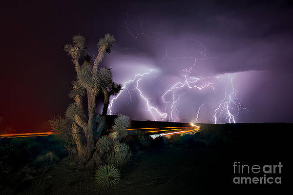 End of Days II by Nicholas Pappagallo Jr End of Days II by Nicholas Pappagallo Jr