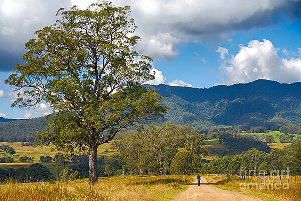 End of the Road by Carole Lloyd End of the Road by Carole Lloyd