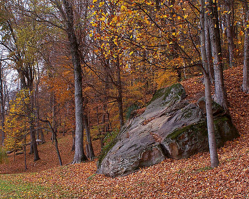 Wall Art - Photograph - End of the Season by Forest Floor Photography