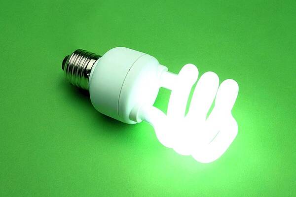 Wall Art - Photograph - Energy Efficient Light Bulb by Science Photo Library