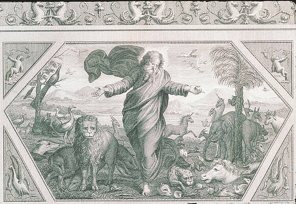 Wall Art - Photograph - Engraving Of God Creating The Plants And Animals by Science Photo Library