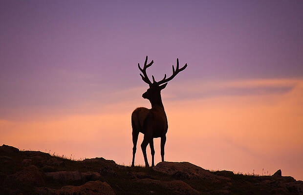 Wall Art - Photograph - Enjoying the View by Darren White