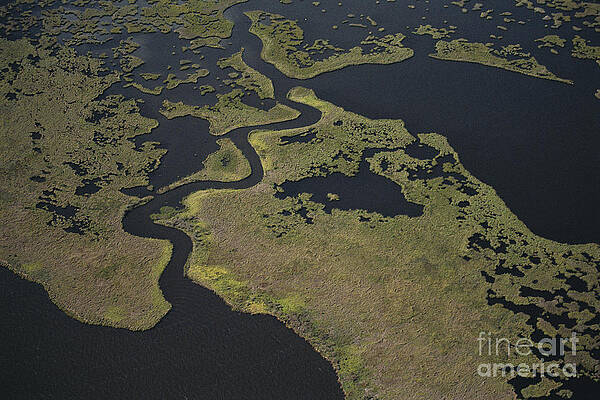 Wall Art - Photograph - Eroding Marshland by Calvin Larsen