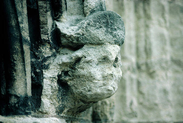 Wall Art - Photograph - Erosion And Soot Deposits On Ornamental Stonework by Science Photo Library