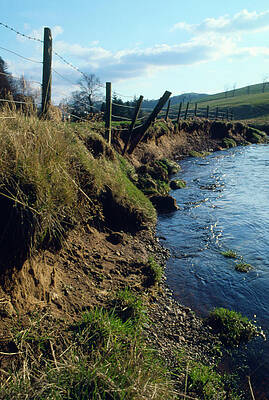 Wall Art - Photograph - Erosion Of Riverbank Caused By Flooding. by Science Photo Library