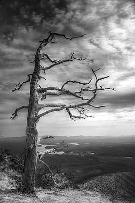 Even In Death I Defy Thee by Mark Steven Houser Even In Death I Defy Thee by Mark Steven Houser