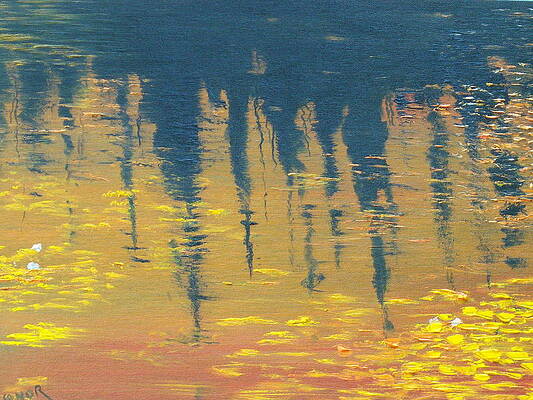 Evening at the pond by Conor Murphy Evening at the pond by Conor Murphy
