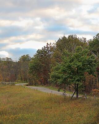 Wall Art - Photograph - Evening Path by Angela Murdock
