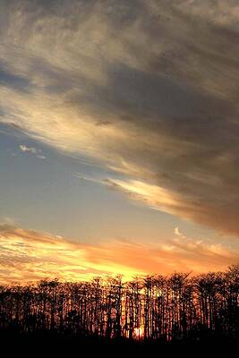 Everglades Clouds by AR Annahita Everglades Clouds by AR Annahita