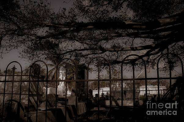 Wall Art - Photograph - Ex Umbra In Solem by Kathi Shotwell