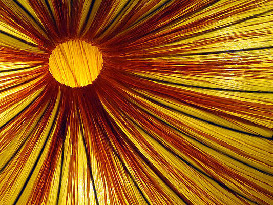 Wall Art - Photograph - Exploding Sun by Rick Locke - Out of the Corner of My Eye