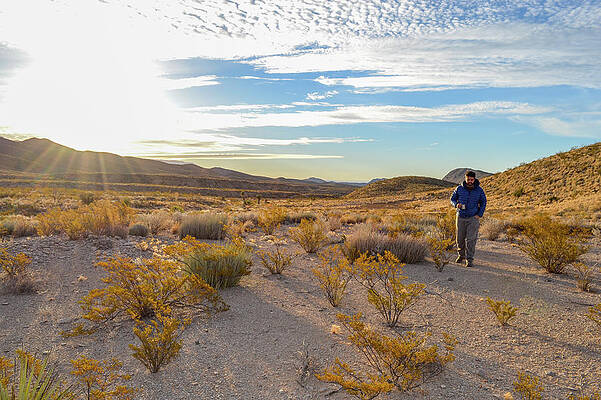 Wall Art - Photograph - Exploring Big Bend National Park by Taylor Reilly