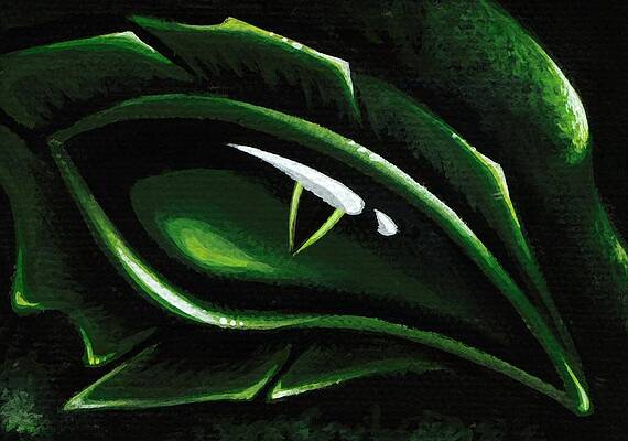 Eye Of The Emerald Green Dragon by Elaina Wagner Eye Of The Emerald Green Dragon by Elaina Wagner