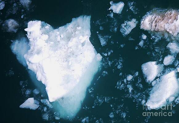 Face In A Floe, A Collectible Moment by Marcus Dagan Face In A Floe, A Collectible Moment by Marcus Dagan