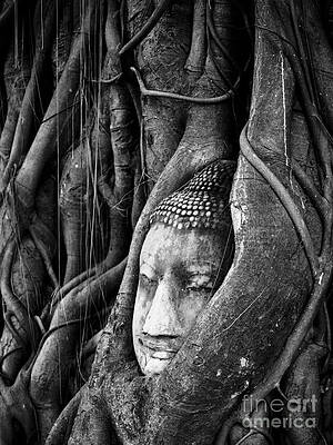Face1 by Supasit Srisawathsak
