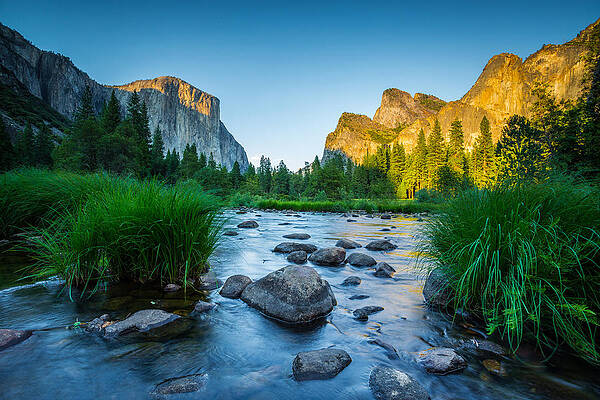 Fading Light by Mike Lee Fading Light by Mike Lee