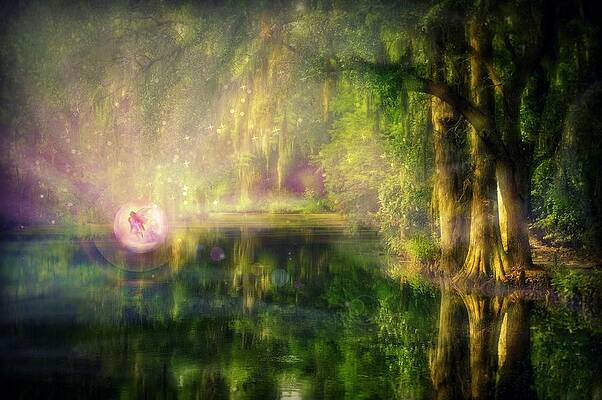 Fairy in Pink bubble in Serenity Forest by Lilia D Fairy in Pink bubble in Serenity Forest by Lilia D