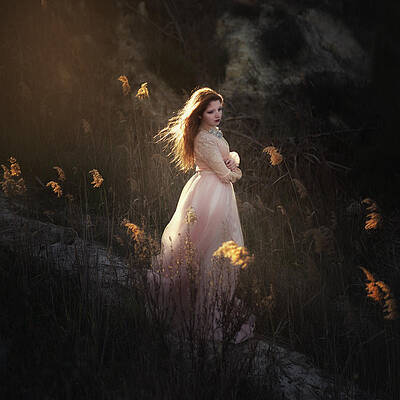 Wall Art - Photograph - Fairy by Paulo Dias