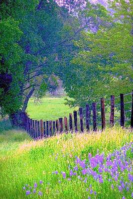 FAIRY TALE MEADOW WITH LUPINES by Pamela Smale Williams FAIRY TALE MEADOW WITH LUPINES by Pamela Smale Williams